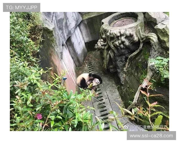 咚咚咚！多哈时间开启！海港队冬季训练营探访记